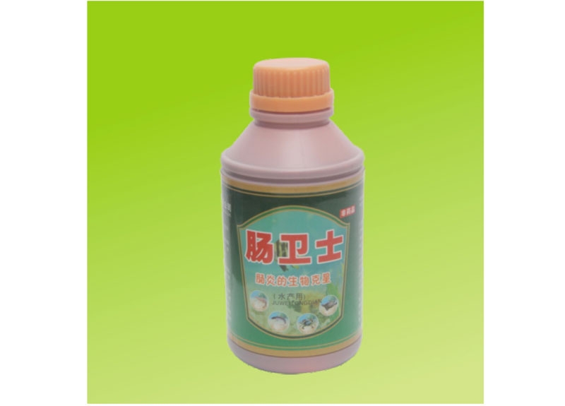 腸衛(wèi)士