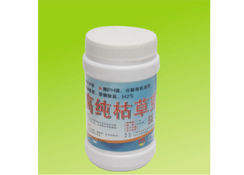 高純枯草芽苞桿菌